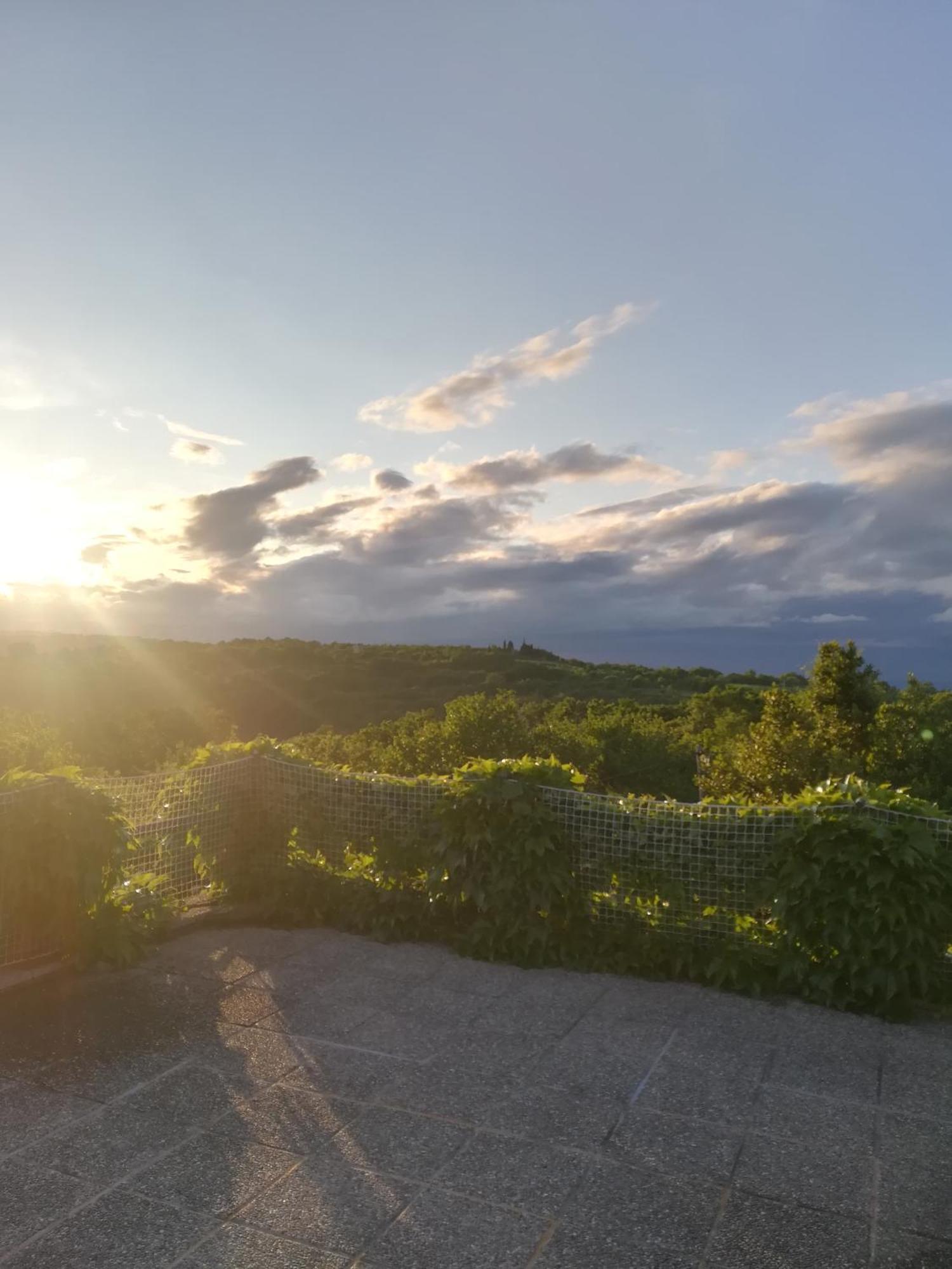Gasthaus Istria Divina Marezige Exterior foto